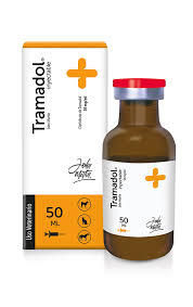 Tramadol 100mg Dose for Dogs