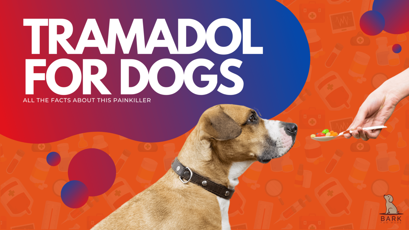 Tramadol 100mg for Dogs